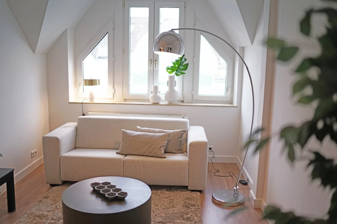 Skandinaavia stiilis hele elutuba taimedega, minimalistlik sisekujundus