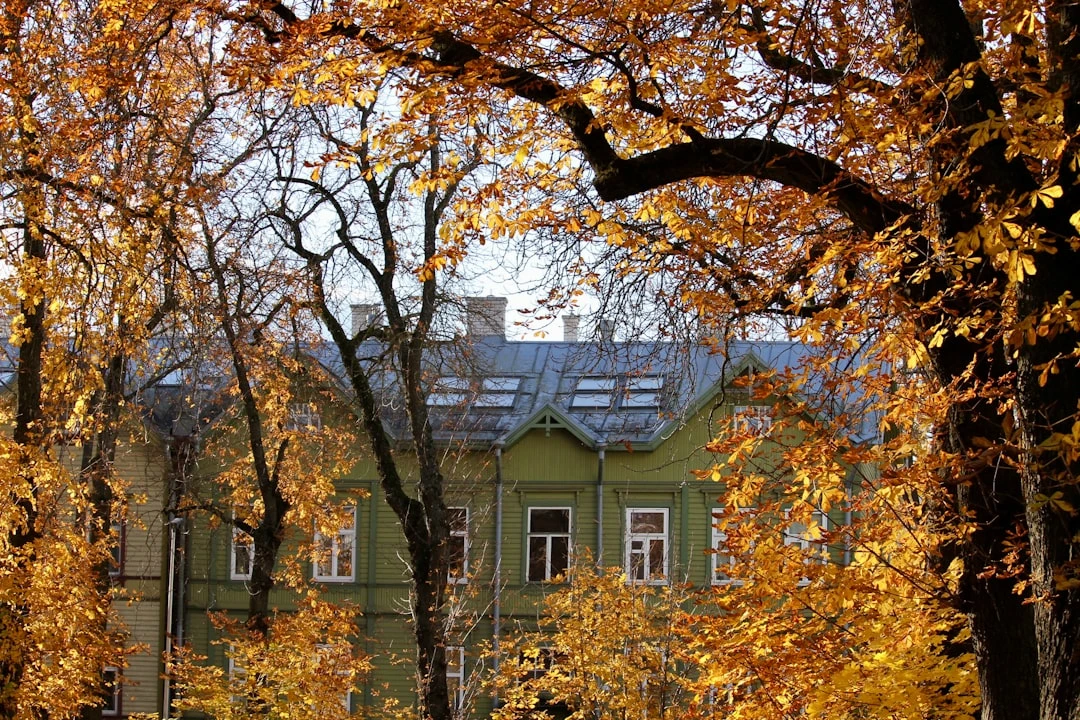 photo-1734255922410-002f3dc859a3