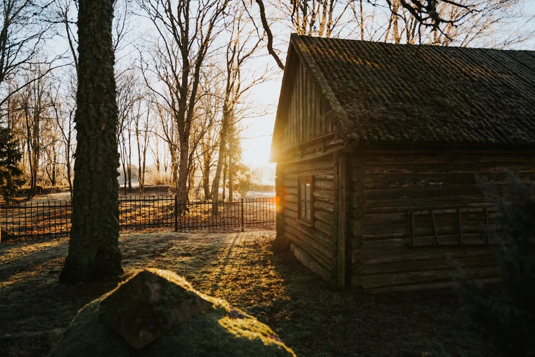 photo-1610910728453-1dd8a27867f7