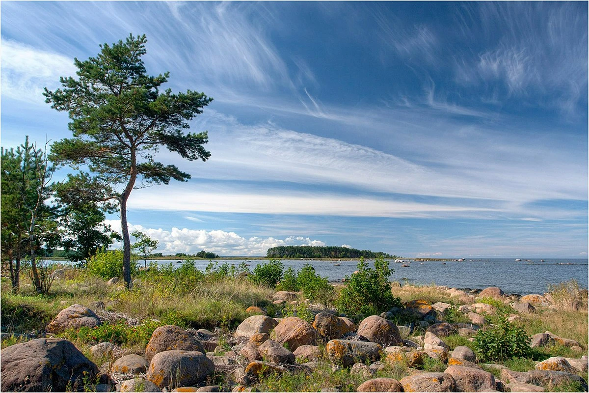 Letipea_coast_-_panoramio