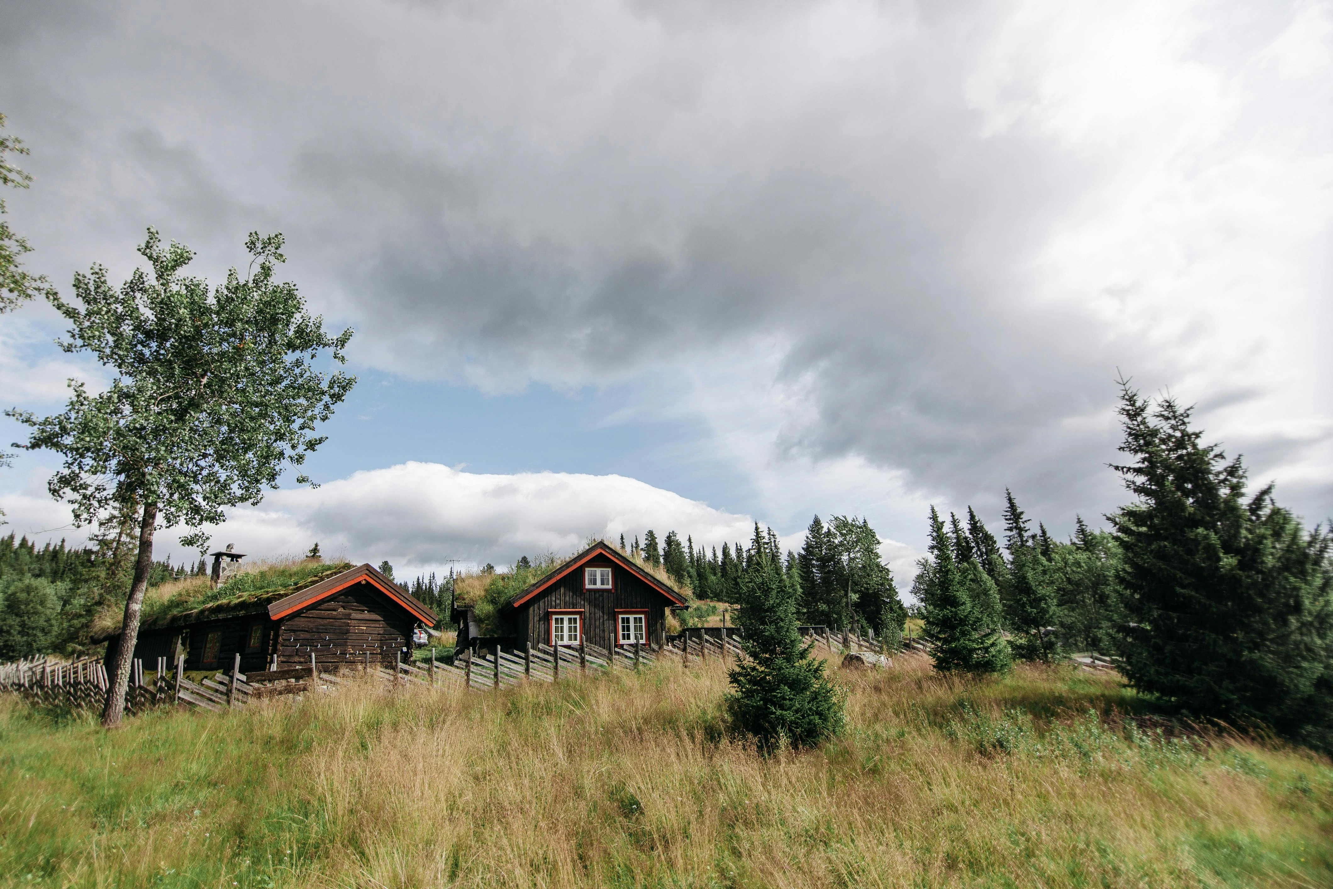 pexels-pavel-danilyuk-7119032