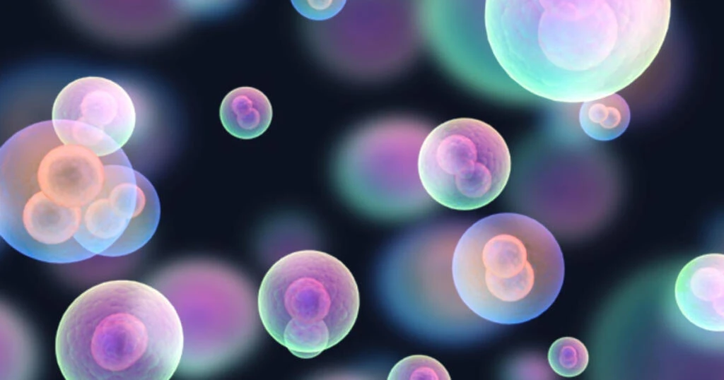 Untitled-design-2023-06-15T093411.186-1024x538