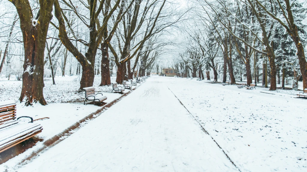 snow-1-1024x576