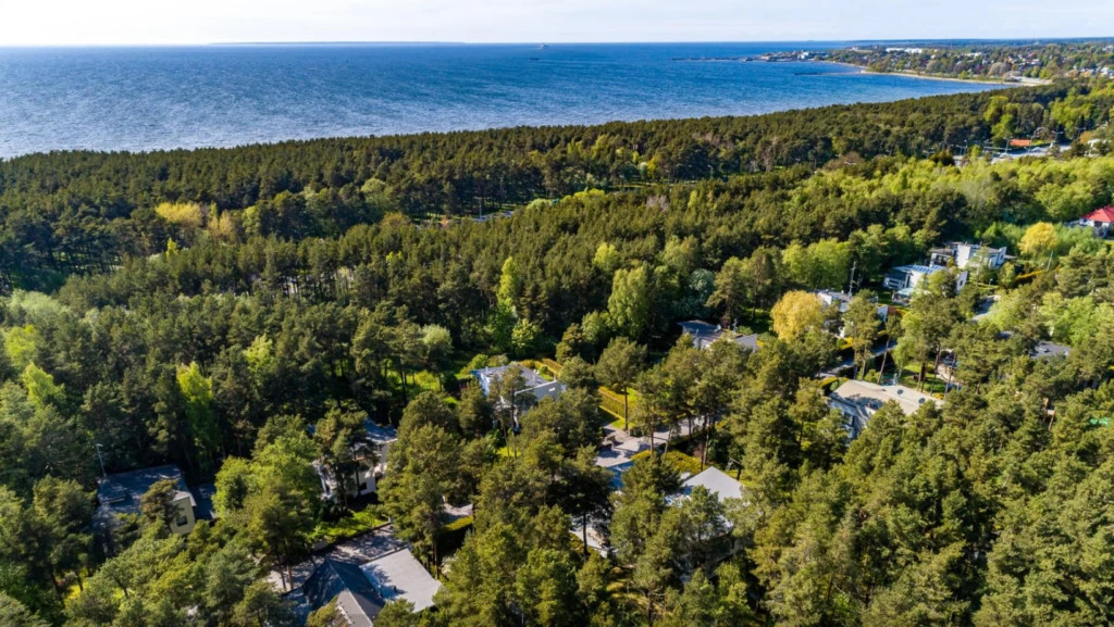 Pink-Brushstroke-Fashion-Influencer-Facebook-Cover-9-1024x577