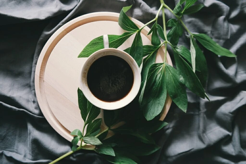 brigitte-tohm-yRH0JI2S2KA-unsplash-1024x683