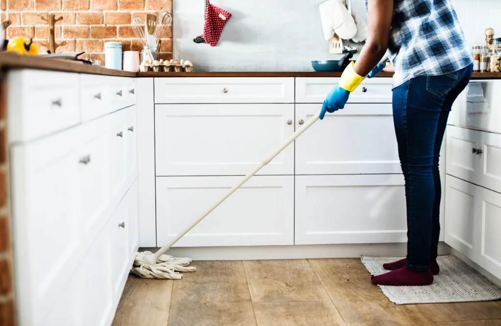 chores-cleaning-contemporary-1321730-1024x665