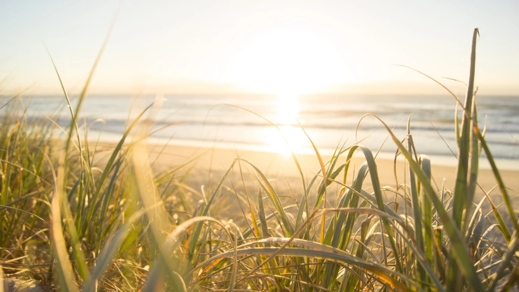 australia-beach-cereal-1089168-1024x576