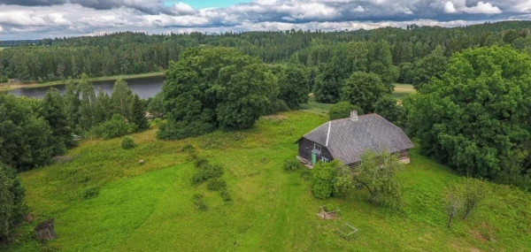 d3049d37-c731-42c7-9237-1c266baace43-e1601968946820-600x285