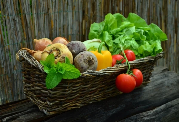 vegetables-752153_1920-600x410