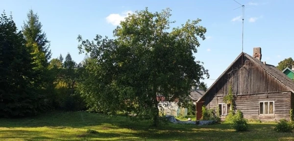 2f6e4e98-8265-430f-bf9f-9329e79c29b3-e1570009424756-600x288