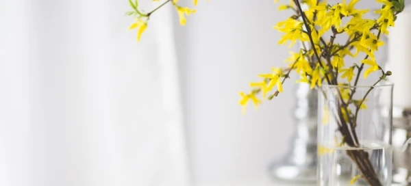 iphone-791450_1920-600x272