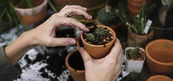 ecology-2985781_1920-e1548750758805-600x280