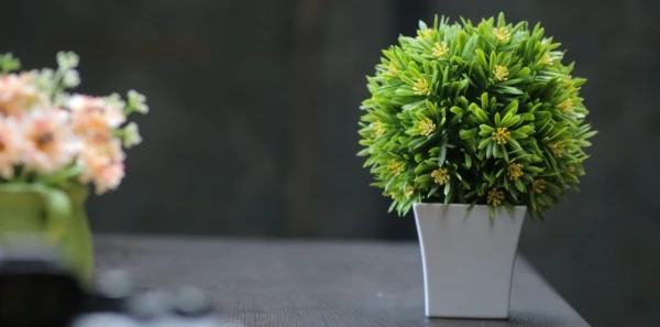 artificial-flowers-blurred-background-bright-1328764-600x297