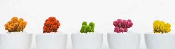 art-artistic-beautiful-311458-600x168