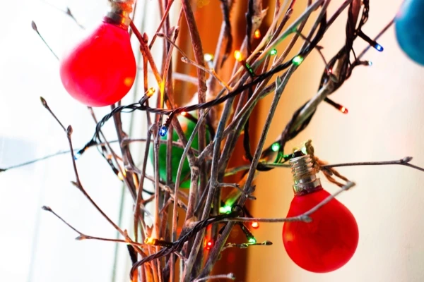 blur-branches-bright-283932-600x400