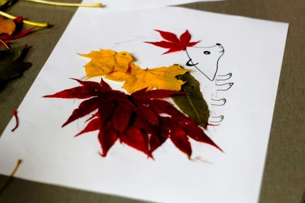 leaf-2596980_1920-600x400