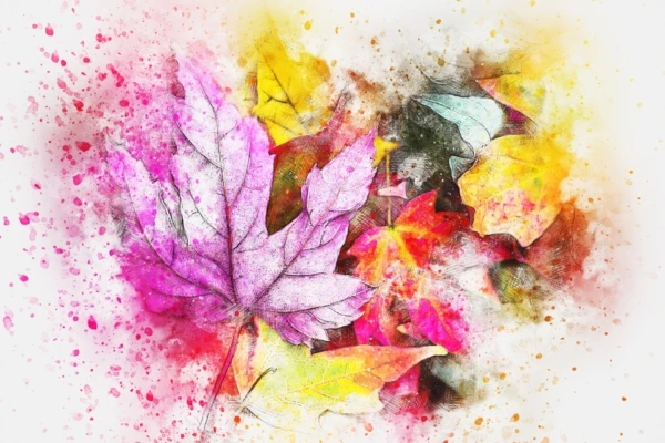 leaves-2630470_1920-600x400
