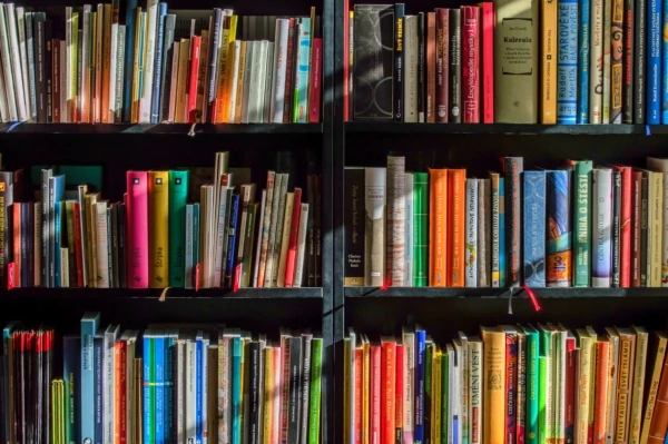 bookcase-books-bookshelves-159711-600x399