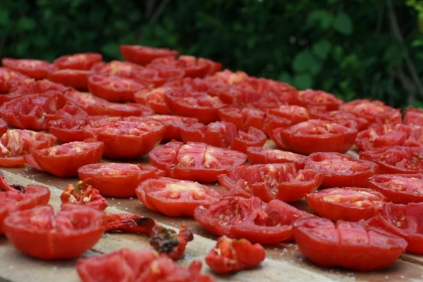 tomatoes-2910862_1920-600x400