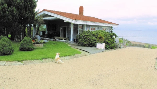 156a89b8-849d-45f1-b6cb-4c6c1b9b8b30-600x342