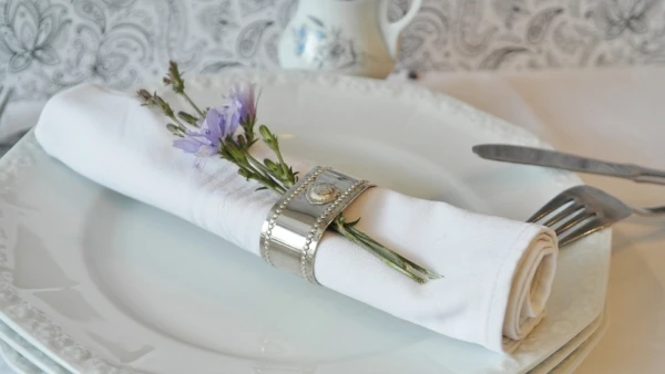 napkin-ring-2577635_1920-600x338