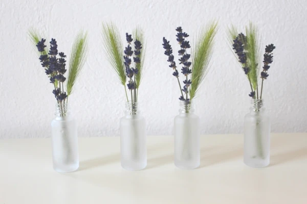 lavender-3397287_1920-600x400