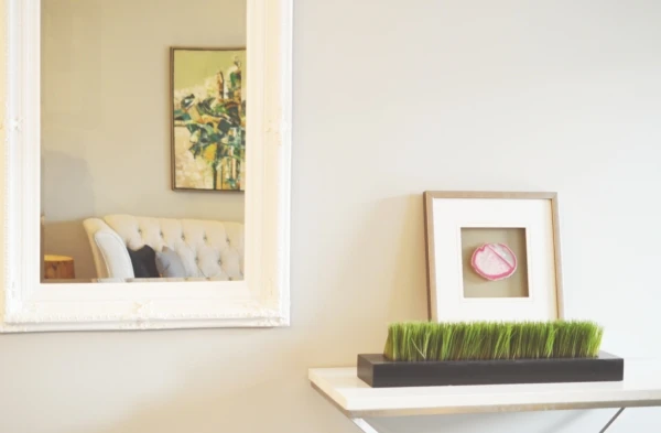 couch-decor-decoration-373578-600x393
