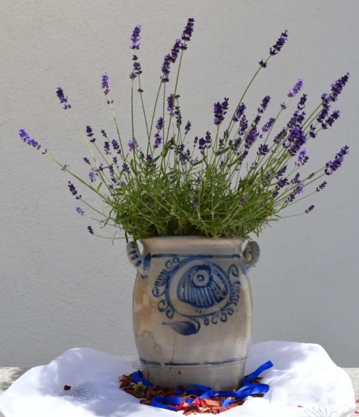 earthenware-1475534_1920-516x600