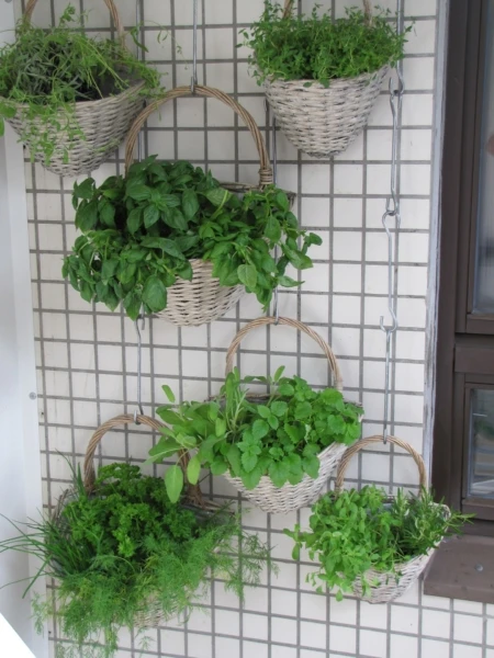 balcony-397785_1920-450x600