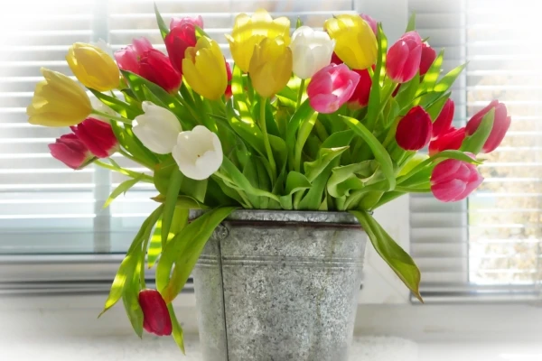 vase-3204337_1920-600x400