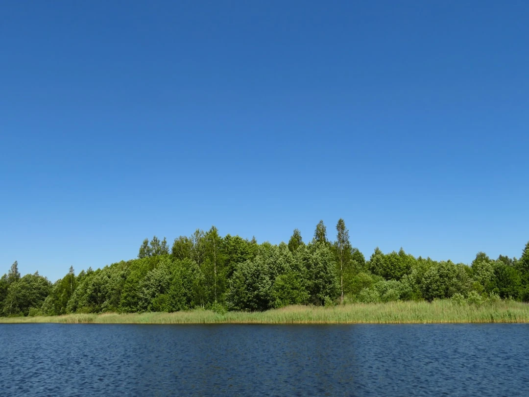 photo-1624381815014-458d64e48f56