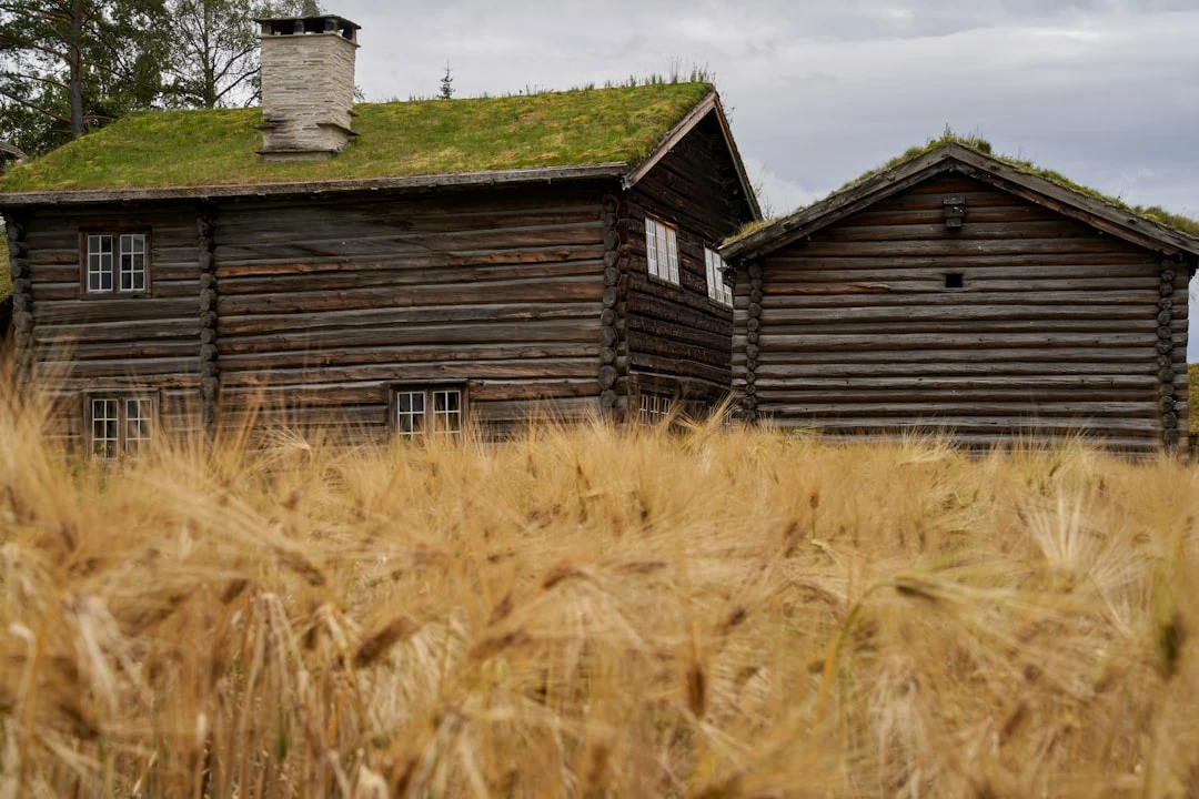 vana talumaja rohelise katusega maapiirkonnas. Foto: Barnabas Davoti, Unsplash