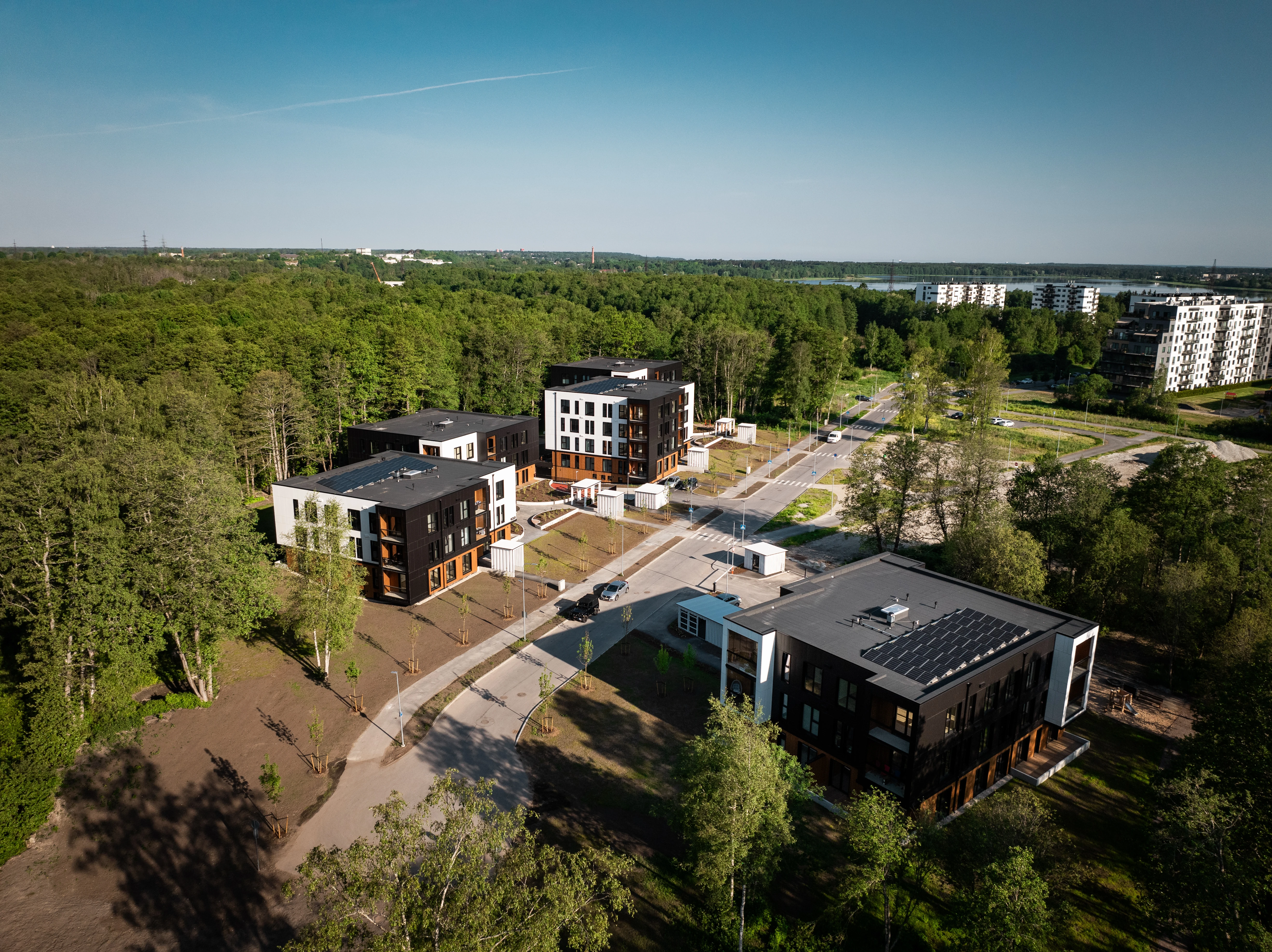 Liven Luuslangi linnulennult droonivaade (K. Kaasik, 2024)