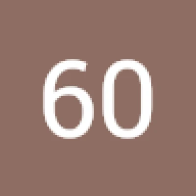 60 ruutu